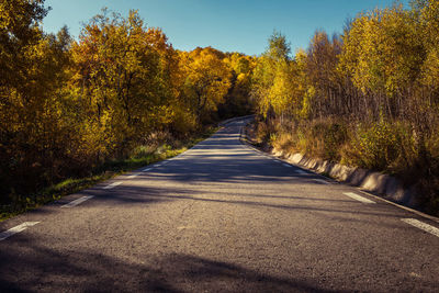 Road amidst trees against sky during autumn