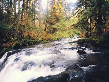 River flowing through rocks