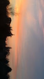 Silhouette trees by sea against sky during sunset