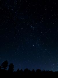 Low angle view of silhouette trees against star field at night