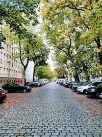 Old cobblestone road amidst trees with parked cars in berlin