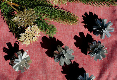 High angle view of potted plant