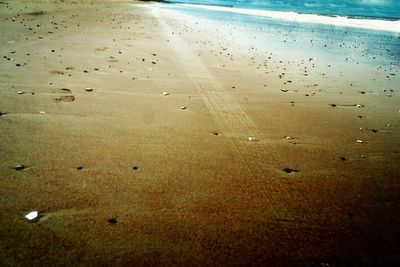 Scenic view of beach