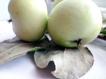 Close-up of eggs in plate