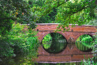 Arch bridge over river in forest