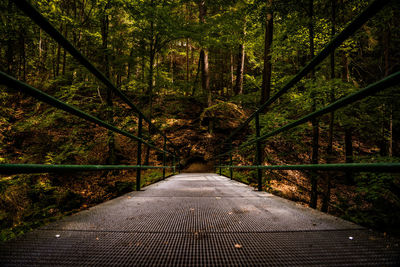 Footbridge amidst trees in forest