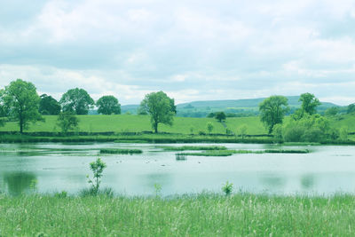 Scenic view of field by lake against sky