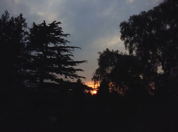 Silhouette trees in forest against sky during sunset