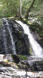 Waterfall in forest