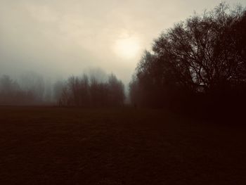 Silhouette trees on field against sky during foggy weather