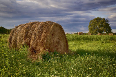 Hay bales on field against sky