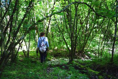 Man standing on tree trunk in forest