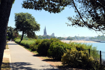 Trees along plants with buildings in background