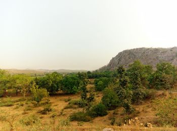 Scenic view of landscape against clear sky