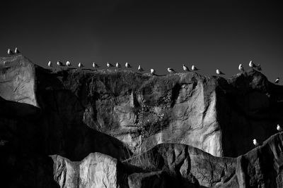 Low angle view of birds perching on rock formations
