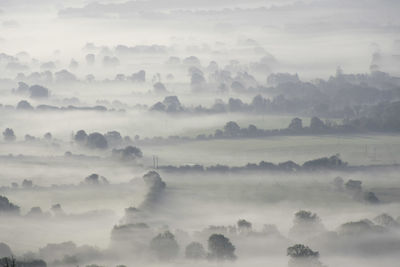 Mist covered fields and hedgerows in a rural landscape