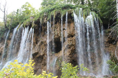 Close-up of waterfall against trees