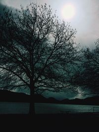 Silhouette bare tree by lake against sky