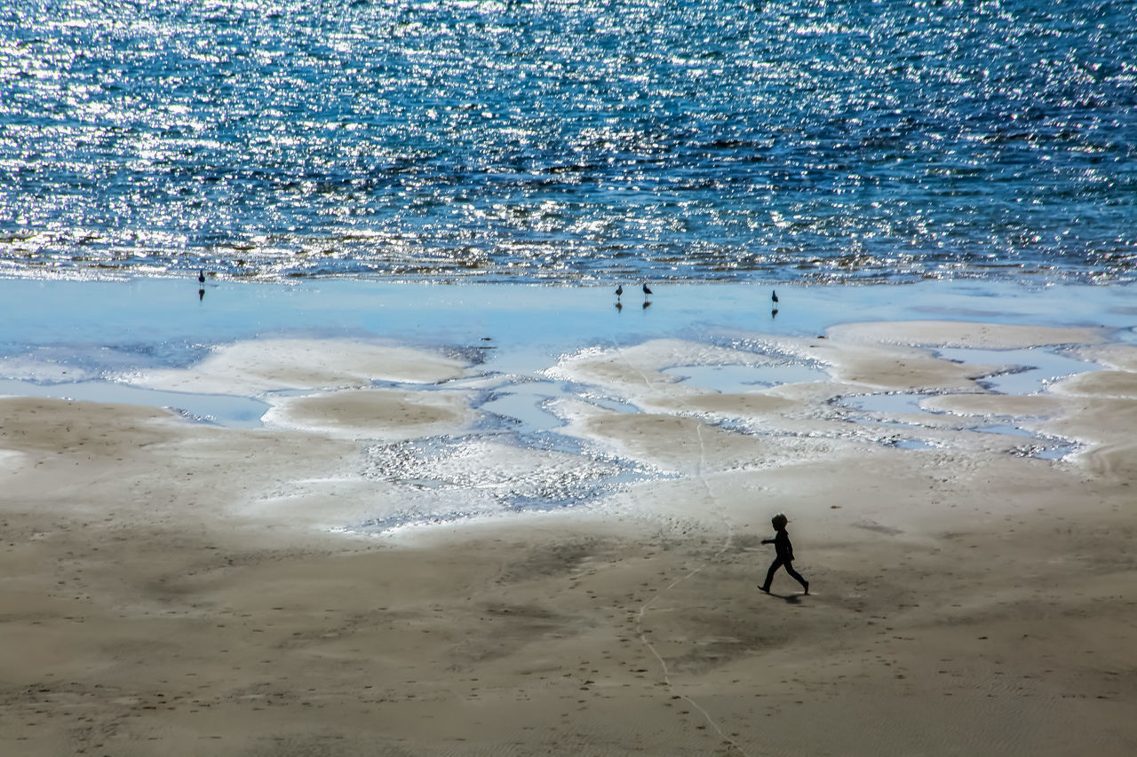 HIGH ANGLE VIEW OF PEOPLE ON BEACH DURING SUNSET