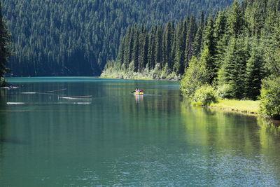 Scenic rear view of four people canoeing in lake with forest in background