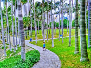 Man walking on footpath