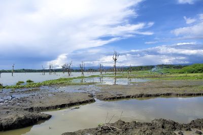 Scenic view of land against sky