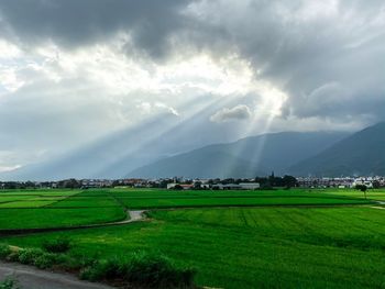 Scenic view of agricultural field against sky