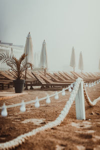 Parasols and lounge chairs at beach