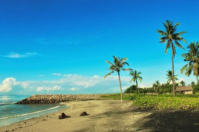 Scenic view of beach against blue sky