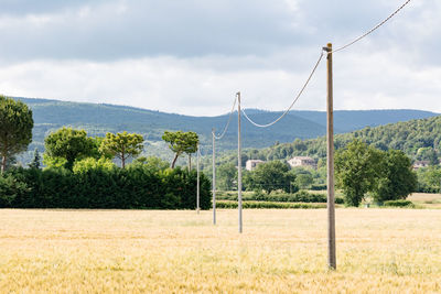 Rope hanging on poles over grassy field
