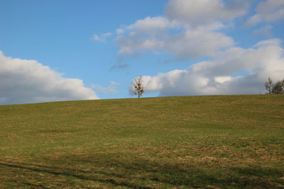 Scenic view of field against sky