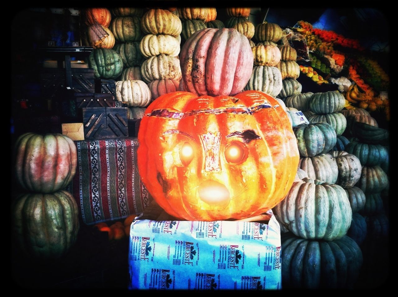 transfer print, auto post production filter, indoors, pumpkin, for sale, still life, retail, food, food and drink, market, large group of objects, close-up, sale, variation, display, shop, choice, vegetable, halloween, abundance