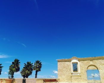 Low angle view of palm trees against blue sky