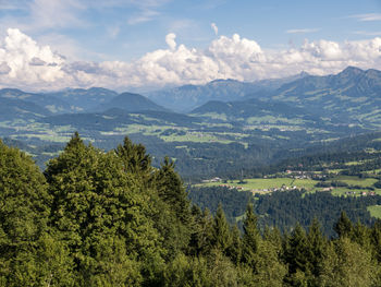 Scenic view of pine trees and mountains against sky