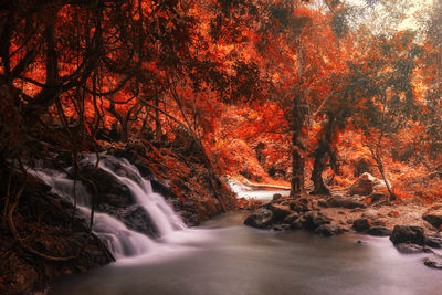 Scenic view of waterfall in forest during autumn