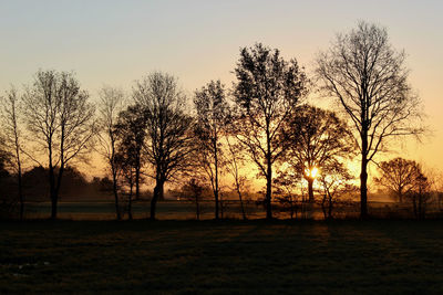 Silhouette trees on field against sky at sunset