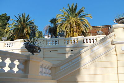 Low angle view of palm trees and plants against sky