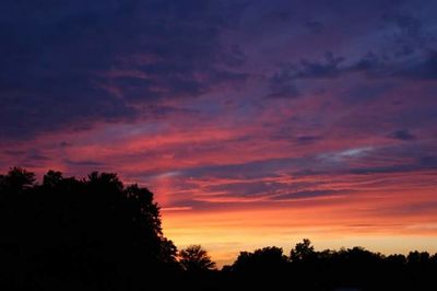 Silhouette of trees at sunset