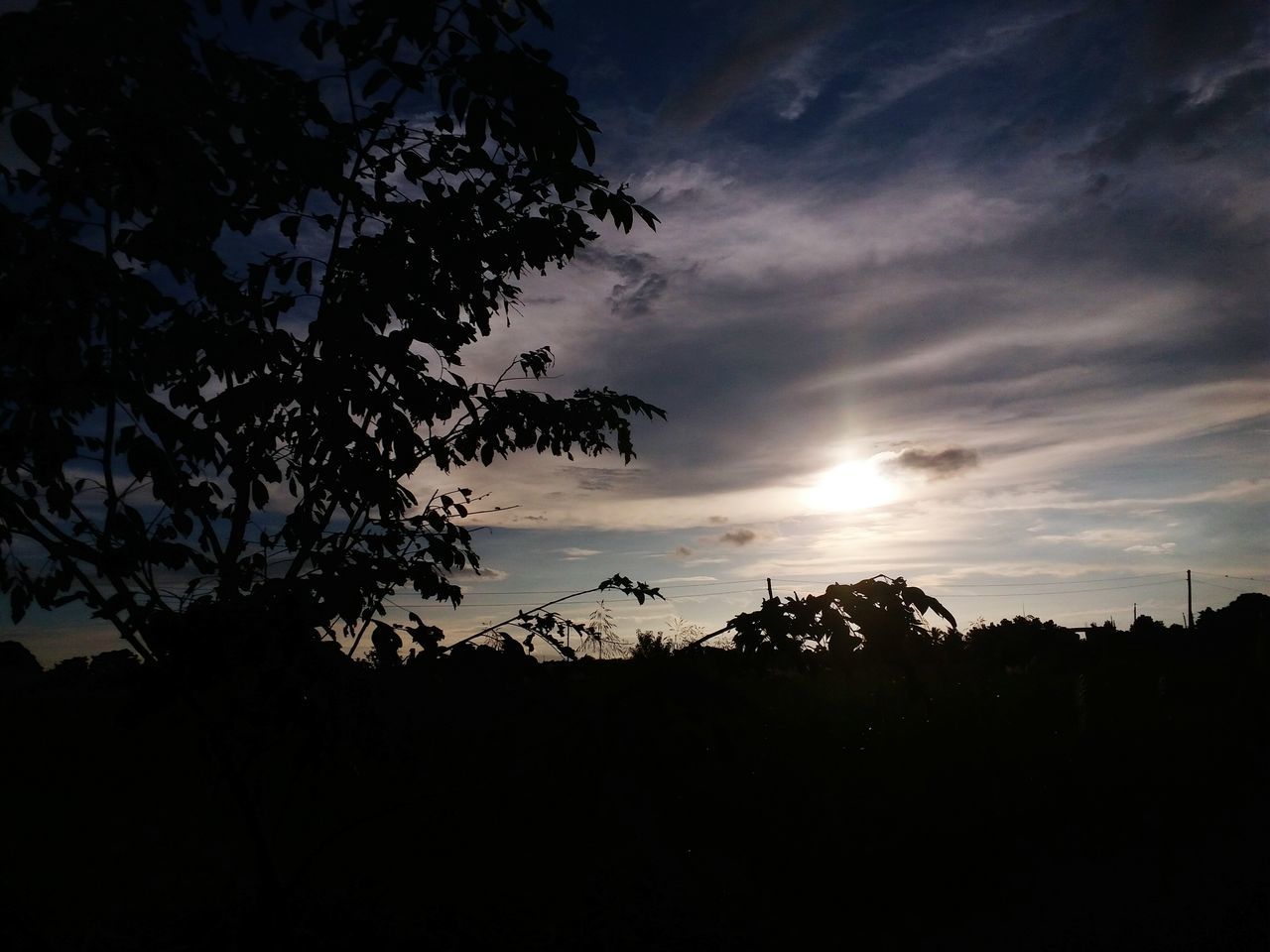 silhouette, sky, sun, sunset, tranquility, tranquil scene, scenics, beauty in nature, cloud - sky, nature, tree, sunlight, low angle view, sunbeam, cloud, idyllic, growth, branch, back lit, outdoors