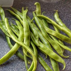 Close-up of vegetables