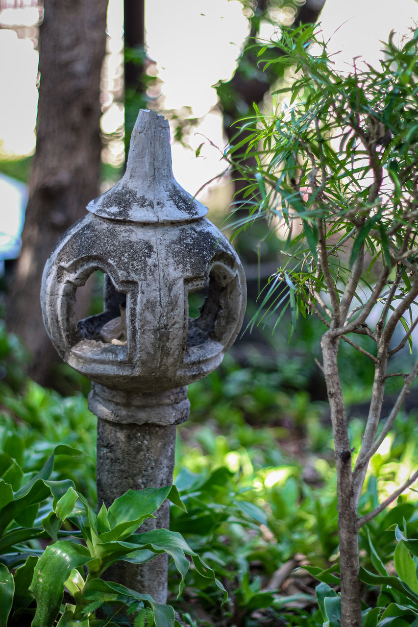 plant, tree, day, focus on foreground, nature, no people, growth, close-up, branch, outdoors, green color, leaf, tranquility, plant part, tree trunk, metal, trunk, animal themes, beauty in nature, park