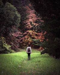 Rear view of woman walking in forest