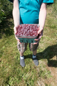 Low section of person holding ice cream standing on field