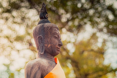 Head of the lord buddha in profile on a blur bokeh background abstract religion warship.