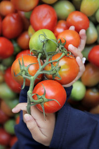 Close-up of hand holding tomatoes