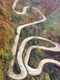 High angle view of winding road amidst trees