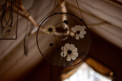 Close-up of illuminated chandelier