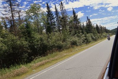 Road amidst trees against sky