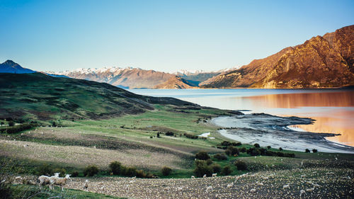 Scenic view of lake and mountains