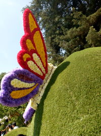 Close-up of butterfly on a toy